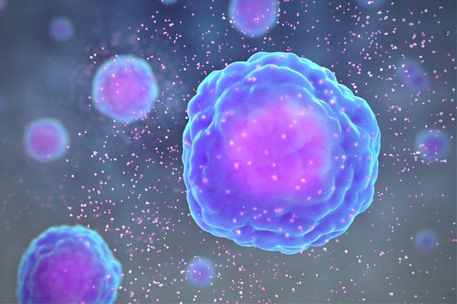 Túledzettség és az immunrendszer