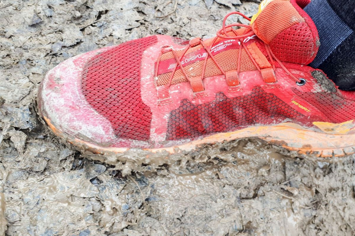 a sar metafizikaja edzes mozgas fejlodes