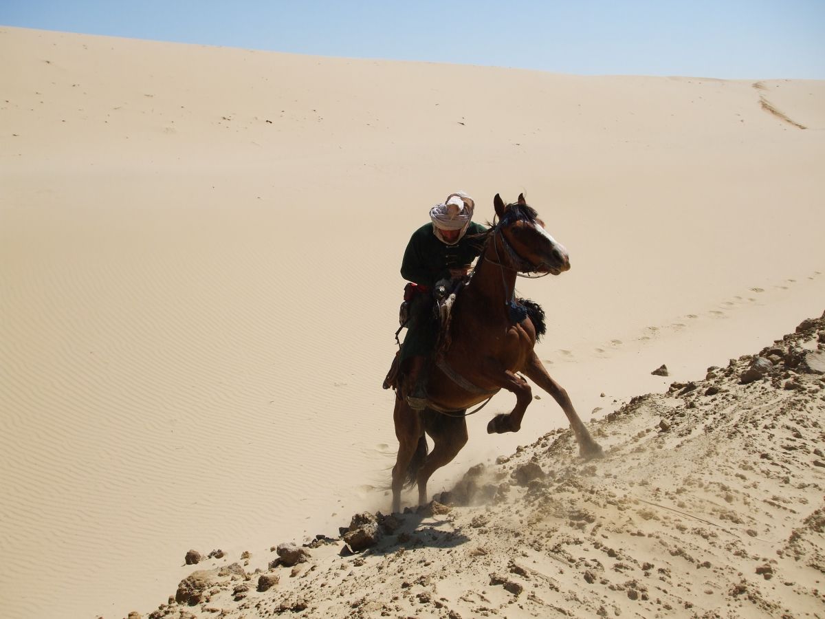 csepin peter sivatagi lovas terepsport